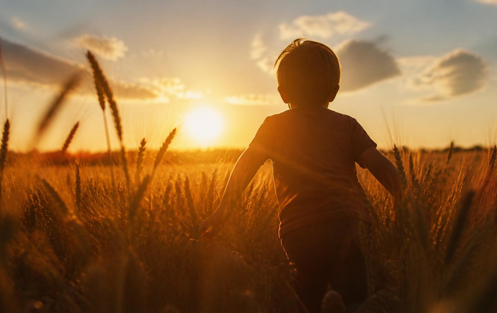 A child running through a wheat field at golden hour